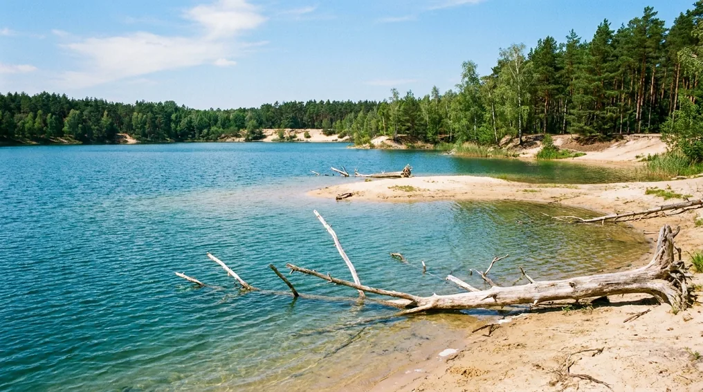 Der klare Bergwitzsee bei Kemberg mit sandigem Ufer