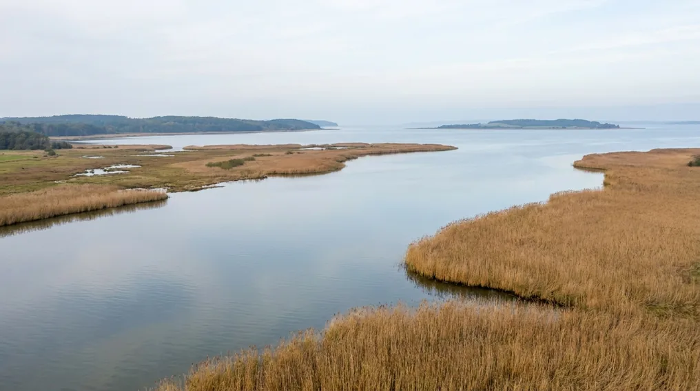 Der Peenestrom zwischen Usedom und dem Festland mit weitem Schilfufer