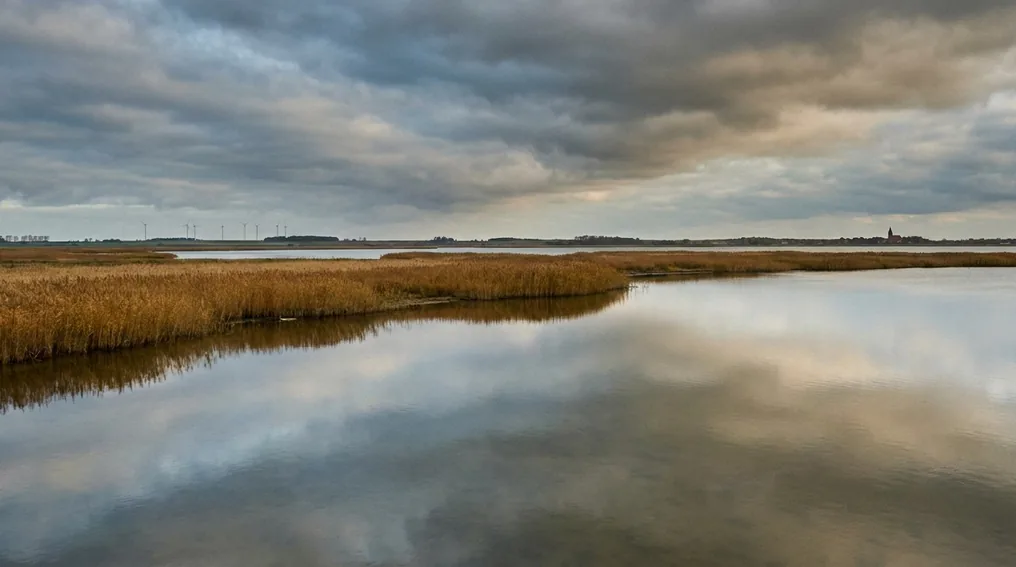 Der flache Saaler Bodden in der Darß-Zingster Boddenkette